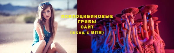 МДПВ Елизово
