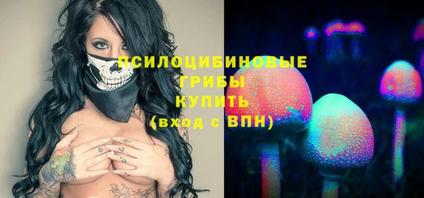 МДПВ Елизово