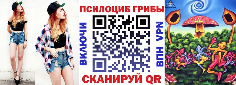 Псилоцибиновые грибы мицелий  Приморск 